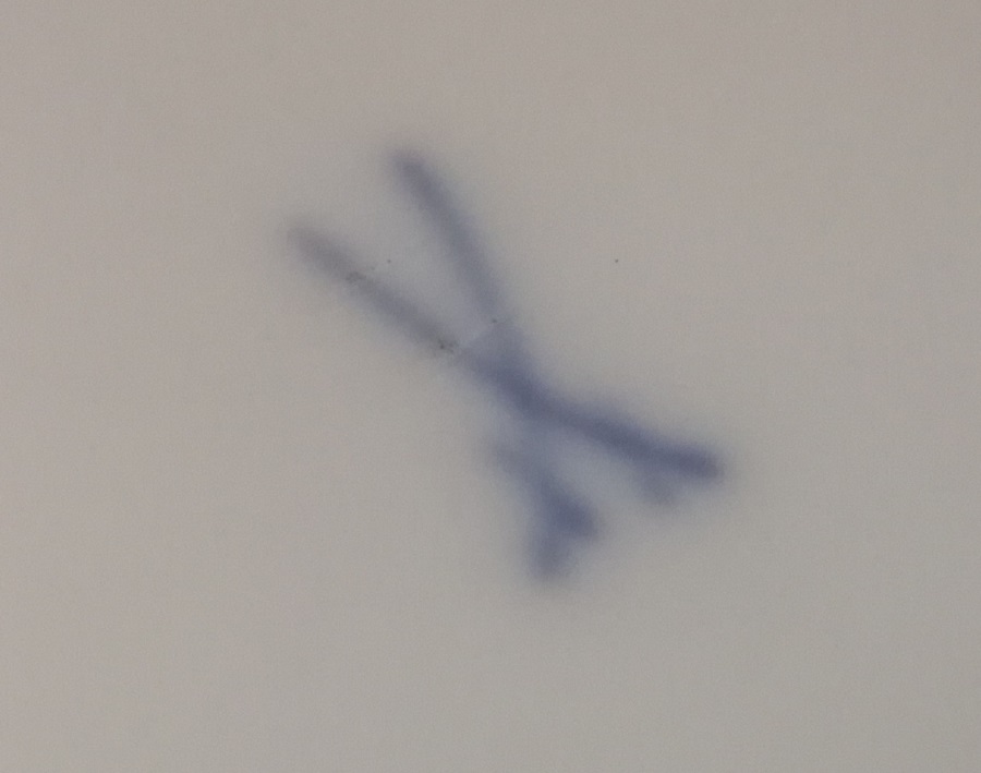 Durchgestrichene Schwerter