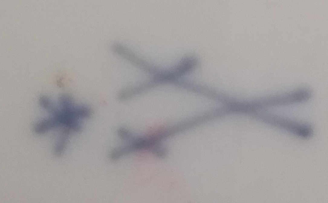 Marke unter Marcolini